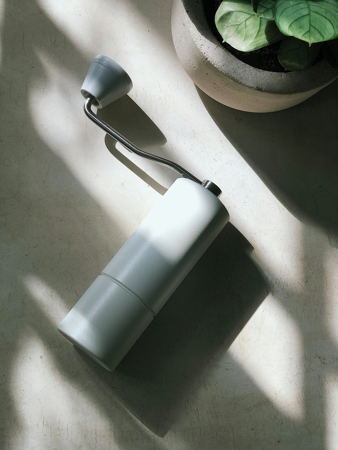 a white lamp sitting on top of a table next to a potted plant