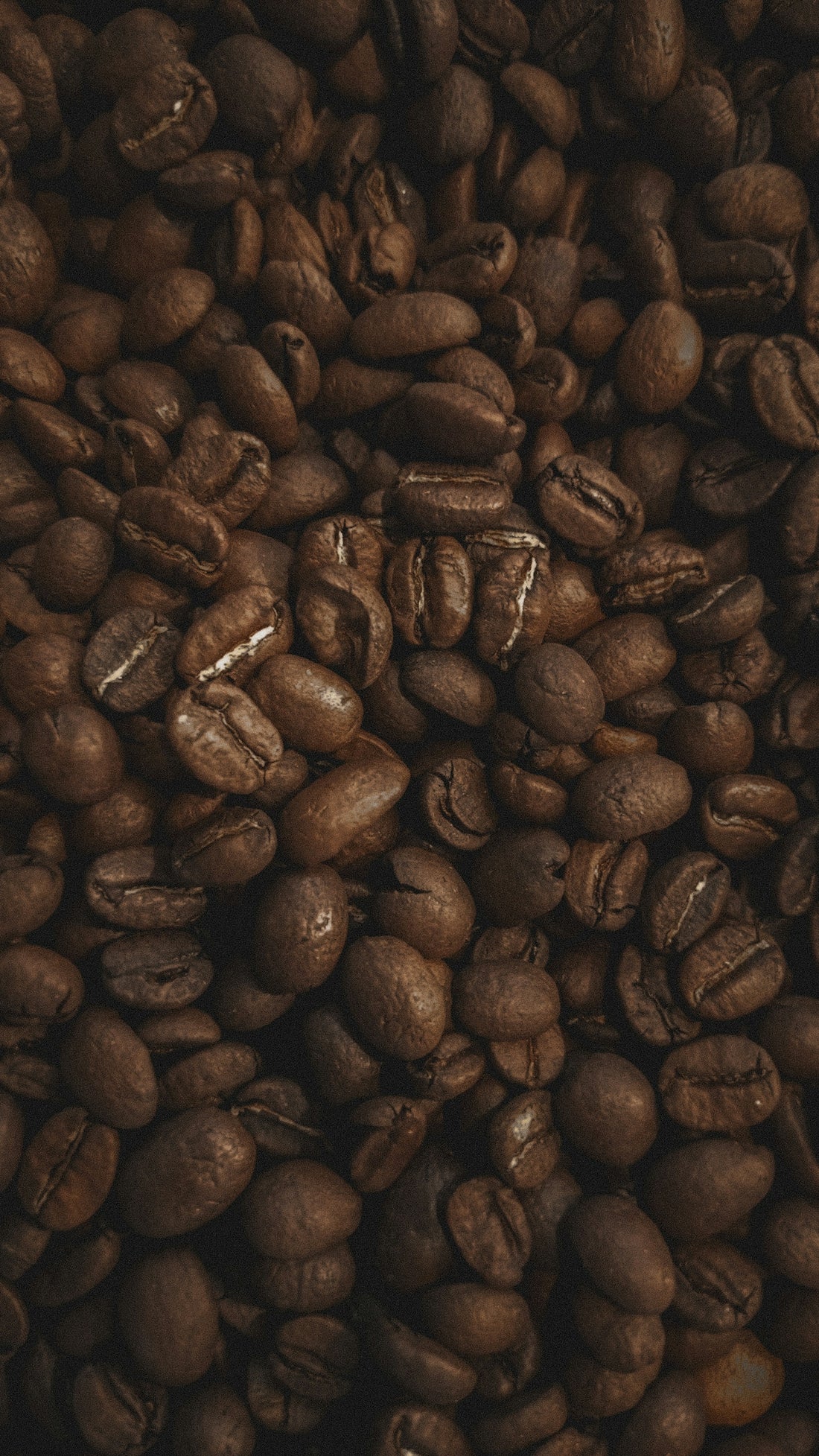 a pile of coffee beans