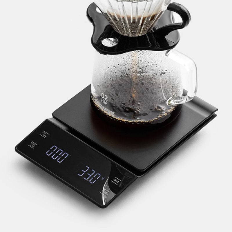 Studio Timer Scale — anatomy detail