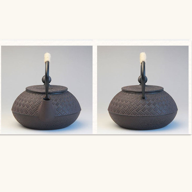 Tetsuki Cast Iron Teapot — in use