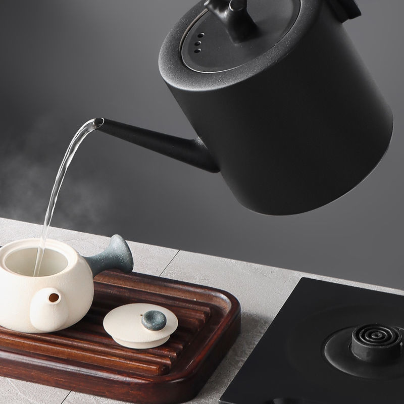 Sentinel Gooseneck Kettle — electric kettle