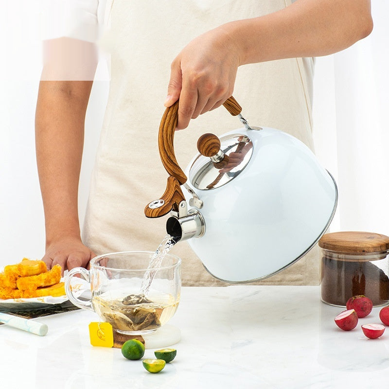 Sentinel Whistle Kettle — tea kettle