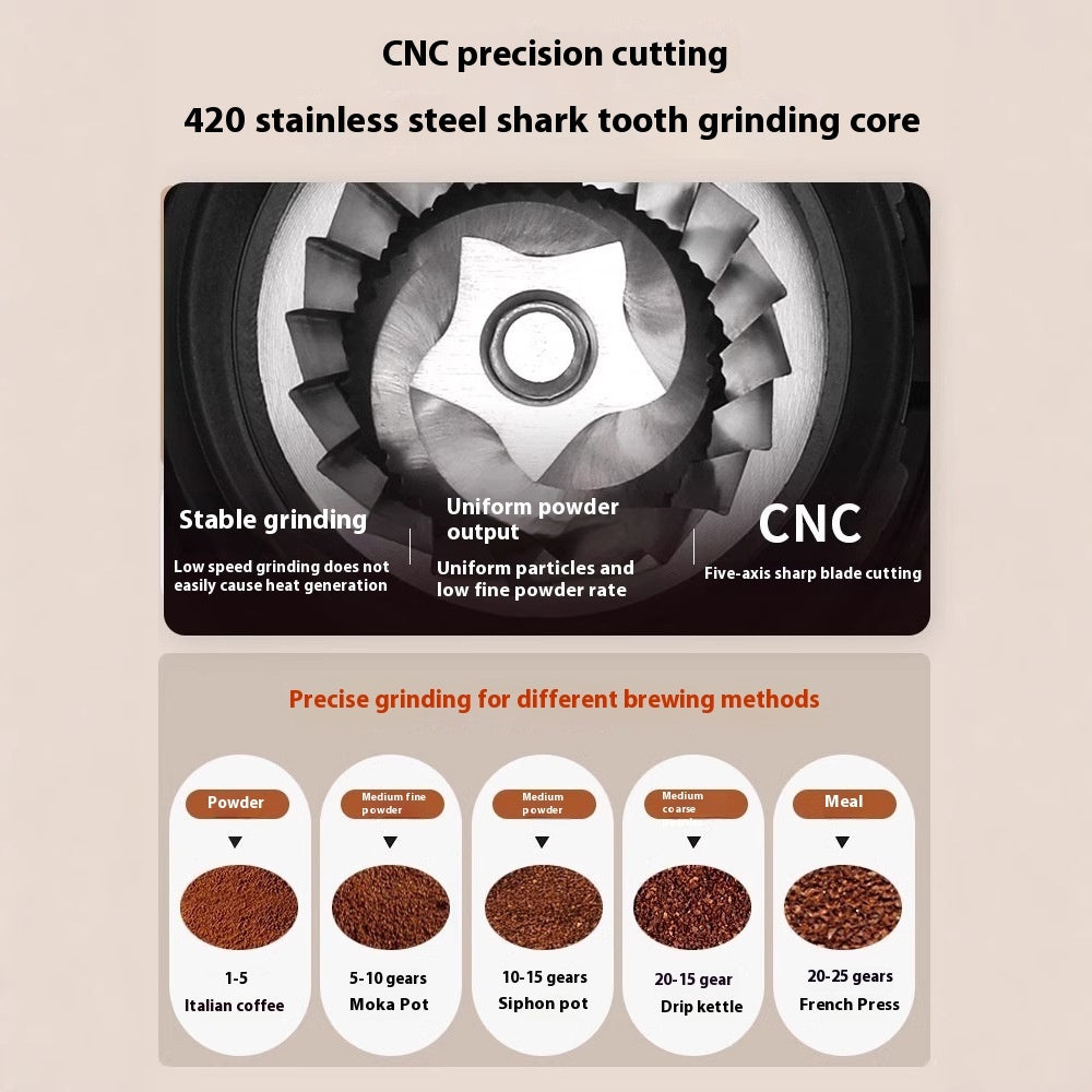 Pro Burr Grinder — scale reference