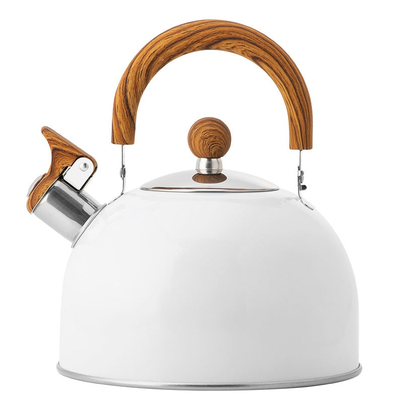 Sentinel Whistle Kettle — lifestyle scene