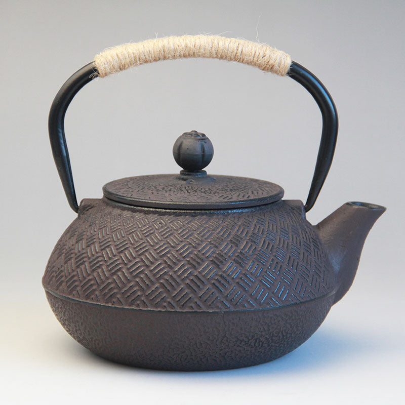 Tetsuki Cast Iron Teapot — scale reference