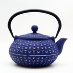 Toscana Cast Iron Kettle — scale reference
