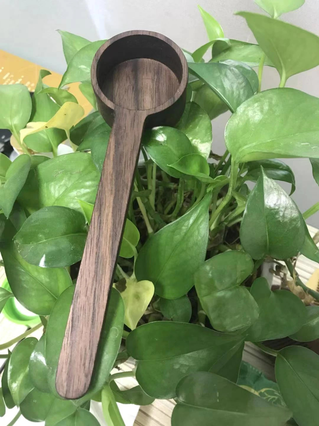 The Atelier Walnut Coffee Scoop 5