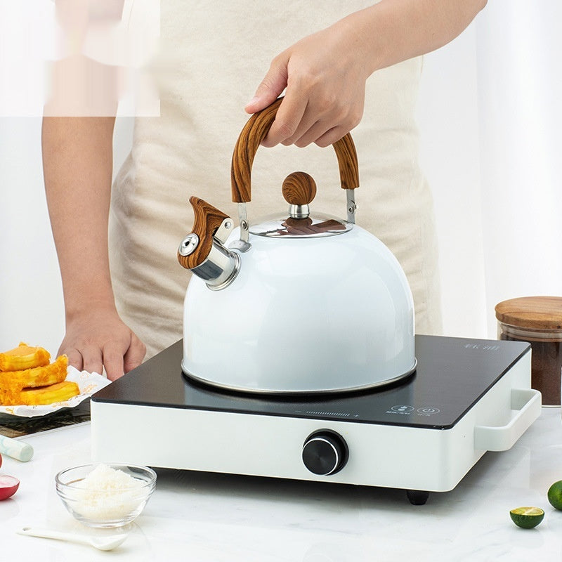Sentinel Whistle Kettle — anatomy detail