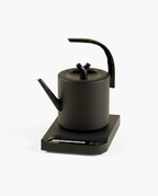 Sentinel Gooseneck Kettle, studio photo