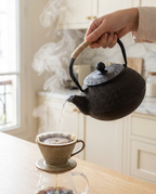Tetsuki Cast Iron Teapot - action_type_aware