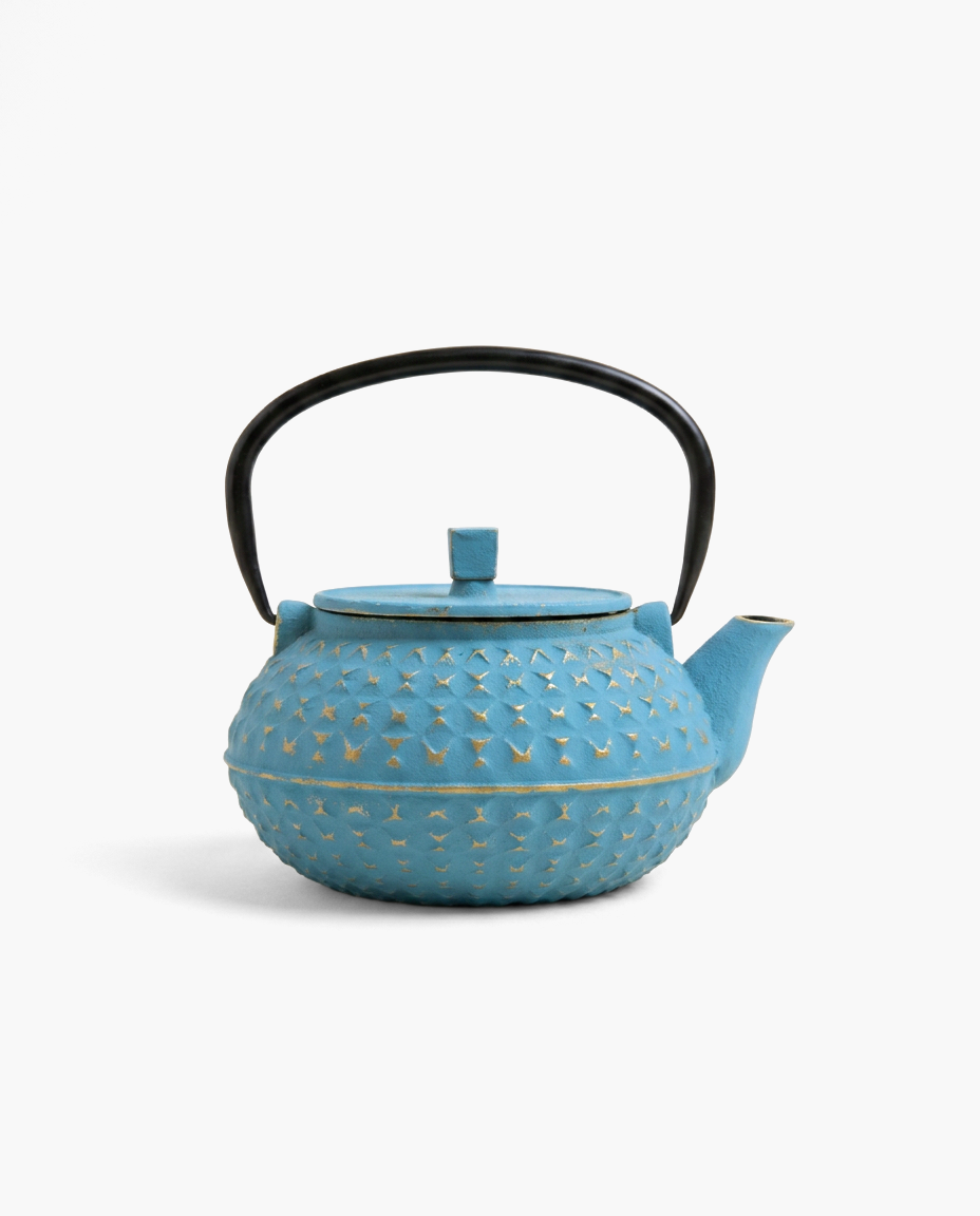 Toscana Cast Iron Kettle, studio photo