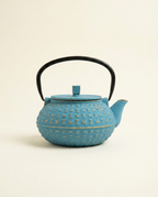Toscana Cast Iron Kettle - hero_studio