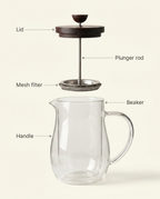 Walnut Glass Press - anatomy_schema